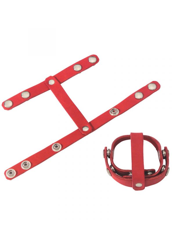 Redline Oiltan T Style Ball Divider Red