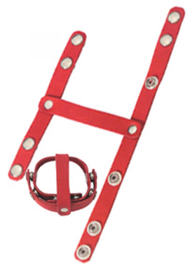 Redline Oiltan T Style Ball Divider Red