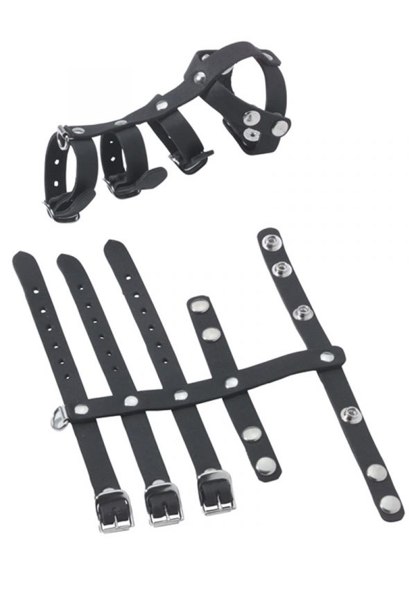 Buckle Vertebrate Divider Leather Cockcage Black