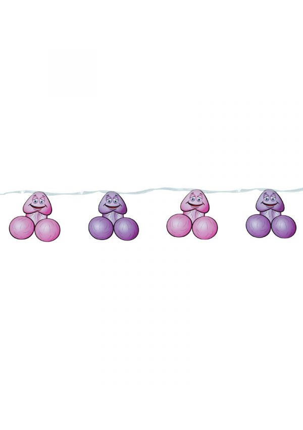 Bachelorette Party Favors Pecker Banner