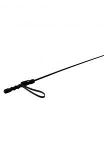 Mis Intense Impact Cane Bondage and Fetish Black