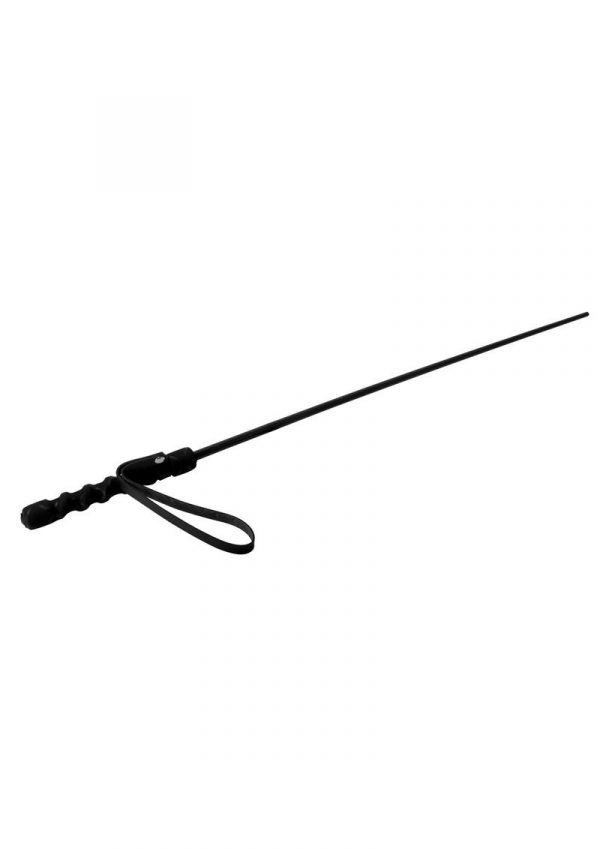 Mis Intense Impact Cane Bondage and Fetish Black